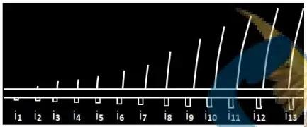 Rôle du muscle squelettique strié dans la conversion de l’énergie